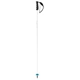 HEAD Unisex-Adult Worldcup Rebels Carbon Skistöcke,...