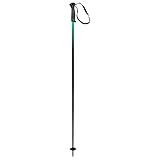 HEAD Unisex-Adult Frontside Black Green Skistöcke, Schwarz/Grün, 105