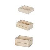 BESPORTBLE 3 Stück Teiliges Mini Holzrahmen für Puppenhaus Detailgetreue Obst und Gemüsekisten Langlebiges DIY Miniaturmöbel Dekoratives Desktop für Eltern