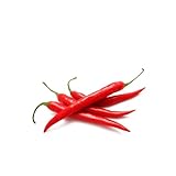 50 Stück neue frische Paprika-Gemüsesamen