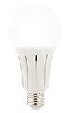 Luminea Tageslicht Glühbirne: High-Power-LED-Lampe E27, 23 Watt, 2.400 Lumen, tageslichtweiß 6.500 K (High Power E27 LED Bulb, Glüh-Birnen, Wonzimmerleuchten)