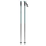 Salomon Unisex-Adult Redster X Alpine Poles, Teal Blue, 125