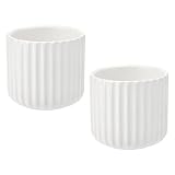 APOMOONS 2er Set Kaffeebecher Ohne Henkel, 180ml Kaffebecher Steingut Tassen, Keramik Tasse Ohne Henkel, Kaffeebecher Porzellan, Espresso Tassen Set, Cappuccino Tassen und Espressobecher, Weiß