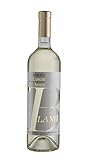 Ceretto Langhe Arneis Blangè Schraubverschluss Piemont 2021 Wein (1 x 0.75 l)