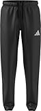 adidas Men's Entrada26 Presentation Pants, Black/White, XL