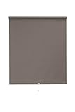 Sunlines HWA10092 Springrollo Tageslicht, Stoff, grau, 102 x 180 cm