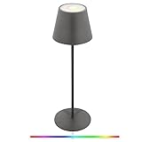 LED Akku Tischlampe,Touch Dimmbar 8 Farben RGB Metall led tischleuchte kabellos- Indoor und Outdoor,IP54 wasserdicht aufladbare LED Tischlampe für Schlafzimmer,Lesen,Arbeit,Bars,Restaurants(Grau)