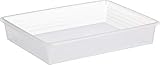 Rotho Linus Aufbewahrungsschale A4, Kunststoff (PP) BPA-frei, transparent, A4 (34.5 x 27.0 x 6.0 cm)