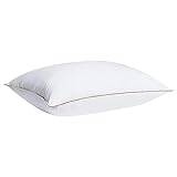 Kissen Kinderzimmer Set zum Schlafen, natürliche Gänsefedern-Kissen mit atmungsaktivem, daunendichtem Bezug, Luxus-Kissen für Hotels, Standard 20 Kissenbezug Muster 40 40 (White, One Size)