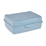 keeeper Frischhaltedose mit Klickverschluss, 17 x 13 x 7 cm, 1 l, Luca Midi, Nordic Blue