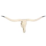 ZHANYUN Langes Horn Kuh Schädel Wandbehang Dekor, Faux Longhorn Schädel Faux Taxidermie Tierkopf Kuh Schädel Wandskulpturen Hängende Kunst, Bull's Head Farmhouse Decor Wand