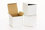 WePack 100x100x100 mm Faltkarton 25 Stück Versandkarton klein E-commerce Karton 1-Wellige 400G WeiB Kartonage Verpackung Postkarton Versandschachtel Paket Päckchen
