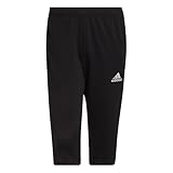 Adidas Herren Entrada 22 3/4 Pants, Black, L