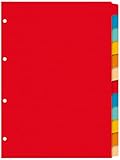 Kangaro Karton-Register DIN A4 blanko beschreibbar. 180 g/m² Manilla recycelter Karton. 12 teilig