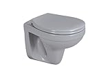 sanicomfort Wand-WC manhattan spülrandlos, Tiefspüler, Abgang waagrecht, mit WC-Sitz mit Absenkautomatik
