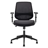 Amazon Basics Ergonomischer Bürostuhl, Schreibtischstuhl mit verstellbaren Armlehnen, Lendenwirbelstütze, Chefsessel aus Mesh-Gewebe, rückenfreundlich, einfache Montage, 63,5 x 58,4 x 91,4 cm, schwarz