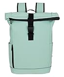 Daniel Ray Rucksack Kurierrucksack Daypack Highlands Größe Large DIN A4 Laptop Fach Fahrradrucksack Daypack Herren Damen Plane wetterfest 1086M + Schlüsselmäppchen (Mint Green 44)