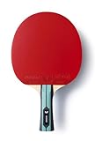 Tischtennisschläger Team Butterfly Advance | Profi-Tischtennisschläger für Fortgeschrittene | ITTF-Zulassung für Wettkämpfe, Konkav, Schwarz