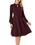 Damen Elegant Hollow Out Langarm Kleid Swing Retro Party Cocktailkleid Rot L