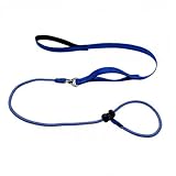 Hundeleine mit bequemen gepolsterten Griff, robuste Hundeleine zum Trainieren und Gassi gehen, 180cm Reflektierend Führleine aus weichem Nylon für große Hunde(S,Blau)
