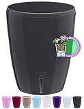 Santino Orchideentopf D 12cm mit Dochtsystem und Wasserstandsanzeige für den Innenbereich Anthrazit 1,3L
