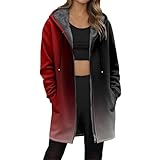 Generisch Damen Langer Plüsch-Kapuzenmantel mit Farbverlauf - Gefütterte Teddy-Fleece-Jacke mit Reißverschluss | Kuschelige Winterjacke im Ombré-Look