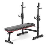 Hantelbank mit verstellbarer, Dip-Station, klappbare Hantelbank, für Kniebeuge Bankdrücken Rumpfbeuge belastet 200kg - Drückerbank, Flachbank, Multifunktion, Trainingsbank