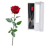 elthmpr Infinity Rose rosa am Stiel - Echte Konservierte Rose in Geschenkbox Geschenke für Frauen Ewige Rose in Ihrem GeburtstagsjubiläUm Muttertag Weihnachten