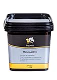 Equanis MuscleActive - Unterstützt den Muskelaufbau deines Pferdes mit 50% Spirulina, Vitamin E, Reiskeimöl, Calcium und Magnesium. Ohne Zucker, Melasse und Getreide
