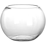 BESTonZON Glas Fischschale Mini Aquarium Rund Glas Fisch Tank Fischglas Klare Vase Blumentopf Pflanze Terrarium Glasball für Zuhause Garten Büro Wohnzimmer Dekoration