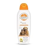 4-in-1 Hundeshampoo und Katzenshampoo von SHAMPET – Fellpflege & Hautschutz, alkoholfrei mit Kamillenblütenextrakt, Lavendelblütenöl, Totes-Meer-Mineralien und mehr, gegen Geruch (350ml)
