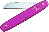 Victorinox Blumenmesser, Garten, Schweizer Taschenmesser, Gärtner und Floristen, Klinge, gerade, pink