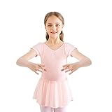 Kinder Ballettkleidung Mädchen Ballettkleid Kurzarm Langarm Balletttrikot Ballettanzug Tanzkleid Tanzbody aus Baumwolle mit Chiffon Rock Tütü (110, Rosa Kurzarm)