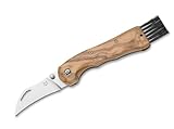 Fox Knives Spora Olive Wood Pilzmesser mit Einhandöffnung