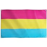 Runesol Pansexual Flagge, 91x52cm (3ft x 5ft), 4 Ösen,...