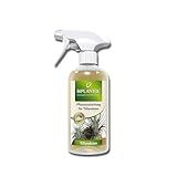 BIPLANTOL® Tillandsien Spray 500ml | Anwendungsfertiges Bio Pflegespray für Tillandsien & Bromelien | fördert Blütenbildung & Vitalität | idealer Feuchtespender für Luftpflanzen | ohne Kalkrückstände