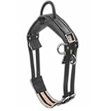 Longiergurt Reitgurt Soft Riding Gurt, Haltegriff auch für Holzpferde geeignet