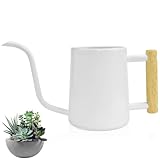 LPAMABA 1L Gießkanne Indoor Giesskanne Metall Edelstahl Gießkanne Klein Blumengießkanne für Zimmerpflanzen Sukkulenten Mini Gießkanne Weiß Gartengießkanne 34Oz
