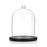 TOLIDA Glaskuppel mit Natürlichen Holzsockel, Griff Robust Dekoration für Rosa Aromatherapie Kerzen Lichtketten als Deko Geschenk im Hochzeit Valentinstag Weihnacht Schwarz 12x15cm