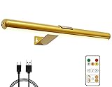 Arixinks 40cm Drahtlose Bilderleuchte LED, Bilderlampe mit Fernbedienung, Wiederaufladbare Dart beleuchtung Kabellos Malleuchte zum Malen von Bildern,Gold