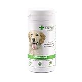 4-BEINER Vitality-Dog, 12 Multi Vitamine für Hunde, Vitamin B Komplex, Vitamin A, C, E, D, Folsäure, Biotin, Mineralstoffe Zink, Eisen, Mangan, 100 Tabletten