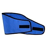 GREENADSCAPE Haustier Cooler Schal Hund Katze Eishalsband Bandanas Für Hundehalsbänder Kühlendes Kopftuch Sommerschal Für Haustiere Kühlendes Haustierhandtuch Sommerbandana Für Hunde PVA Blue