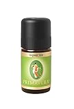 PRIMAVERA Ätherisches Öl Ingwer bio 5 ml - Aromaöl, Duftöl, Aromatherapie - stabilisierend, stimmungsaufhellend, aphrodisierend - vegan