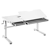 HOKO® Ergo-Study-Table COMPAKT Plus. Kinderschreibtisch Weiß, manuell höhenverstellbar mit Verstellbarer Tischplatte Größe von 120 x 60 cm