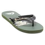 Quiksilver Java Art Sl Flip Flops EU 42