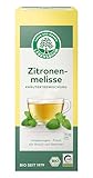 Lebensbaum Zitronenmelisse, Bio Kräutertee-Mischung, Zitronenmelissen-Tee, Bio-Tee, Sommer-Tee, 100% Zitronenmelisse & Zitronengras, 20 Teebeutel, 30g