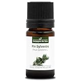 KIEFER (Pinus sylvestris) BIO - 5ml - Premium-Qualität Ätherisches Öl - 100% Rein, Natürlich, ChromaCert® Garantie - Chemotypisiert & Vollspektrum