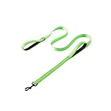 2026 Hundeleine mit Doppelgriff, Verkehrskontrolle, geruchsdicht, leicht reinigen, beschichteter breiter Nylongurt mit 2 Griffen, geeignet für Strand/Erkundungen/Training im Schlamm (Green, 180cm)