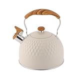 Flötenkessel | Flötenkessel für Tee, 2,5 l, aus Edelstahl, ergonomischer Griff, Küchenzubehör für Wohnung, Hotel, Kochfeld