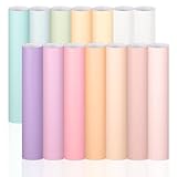 VINYL FROG Pastell Vinylfolie Plotter 14 Blätter Selbstklebend Plotterfolie Vinyl 12 Boho Permanent Vinyl +2 Transferfolie Plotter für Home Decor Geburtstag Party Tasse Geschenk